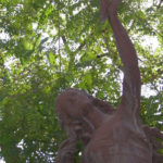Hace un rato. Una de las estatuas del parque Aguirre.